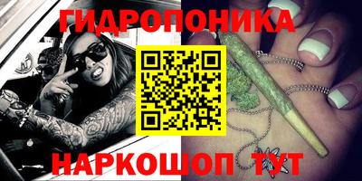 СК Шелехов