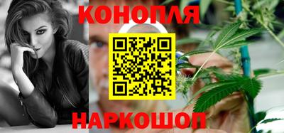 СК Шелехов